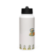 Stainless Steel Water Bottle with a Straw Lid