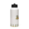 Stainless Steel Water Bottle with a Straw Lid