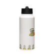 Stainless Steel Water Bottle with a Straw Lid