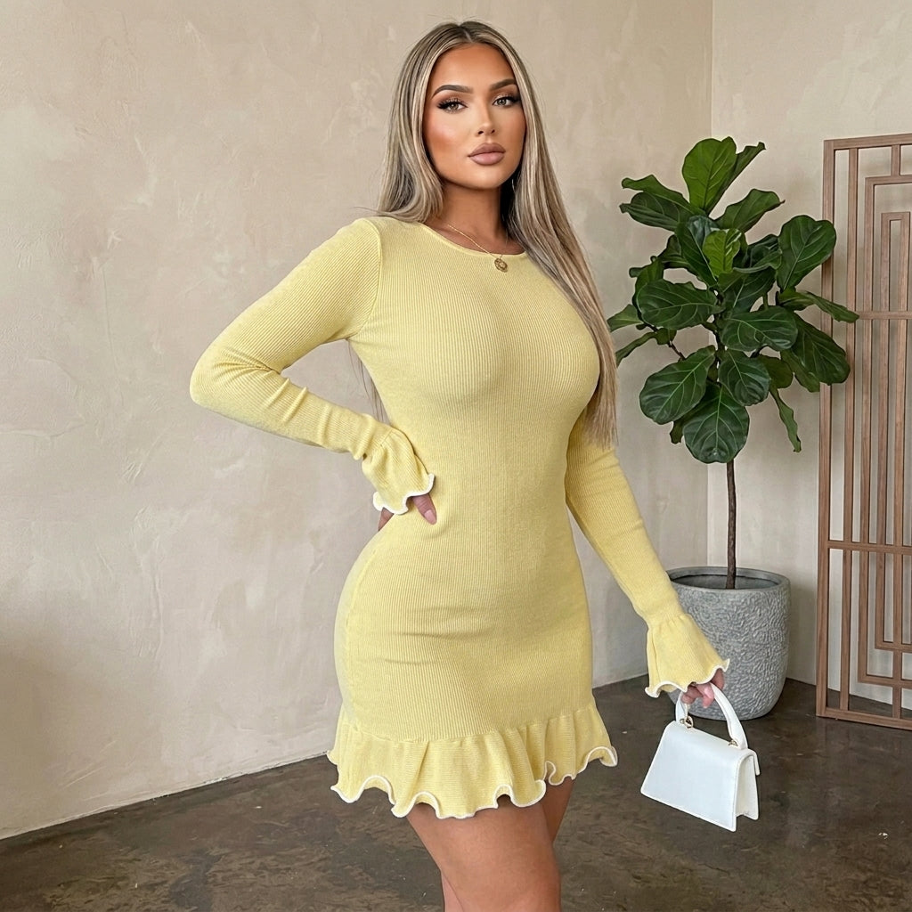 Contrast Trim Long Sleeve Mini Dress