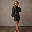 Long Sleeve Sequin Pencil Mini Dress