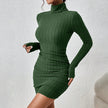 Turtleneck Knit Bodycon Dress II