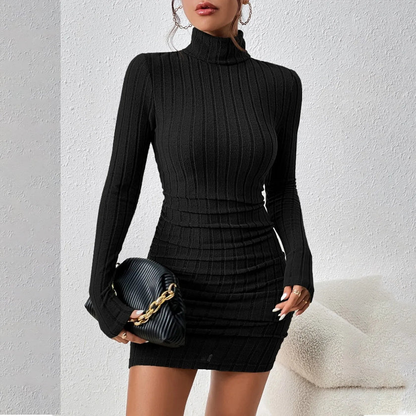 Turtleneck Knit Bodycon Dress II