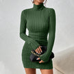 Turtleneck Knit Bodycon Dress