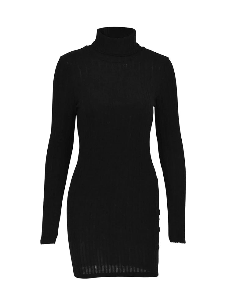 Turtleneck Knit Bodycon Dress