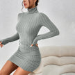 Turtleneck Knit Bodycon Dress