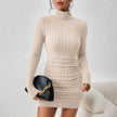 Turtleneck Knit Bodycon Dress