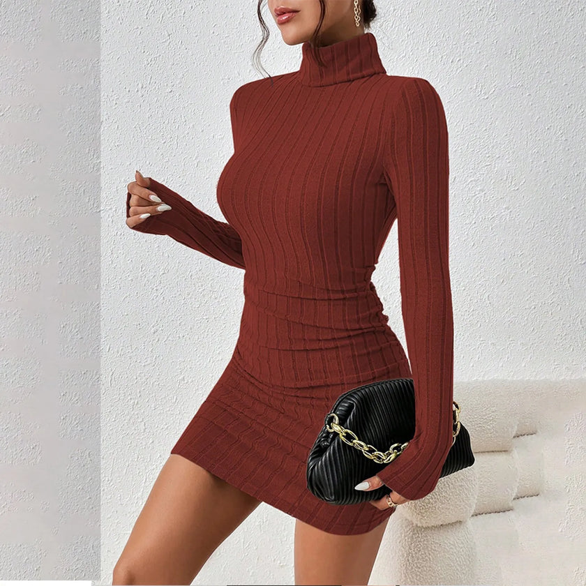 Turtleneck Knit Bodycon Dress II