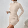 Turtleneck Knit Bodycon Dress II
