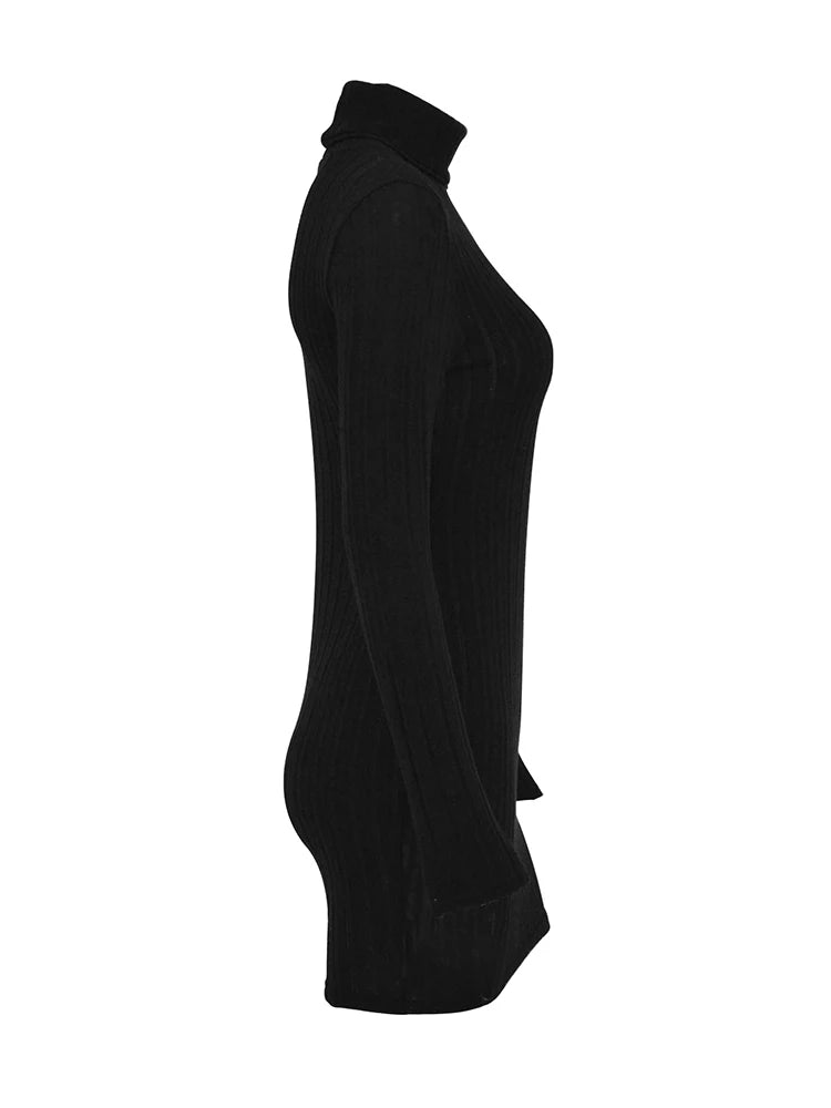 Turtleneck Knit Bodycon Dress
