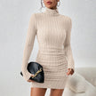 Turtleneck Knit Bodycon Dress II