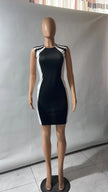Colorblock Sleeveless Mini Dress