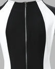 Colorblock Sleeveless Mini Dress