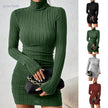 Turtleneck Knit Bodycon Dress II
