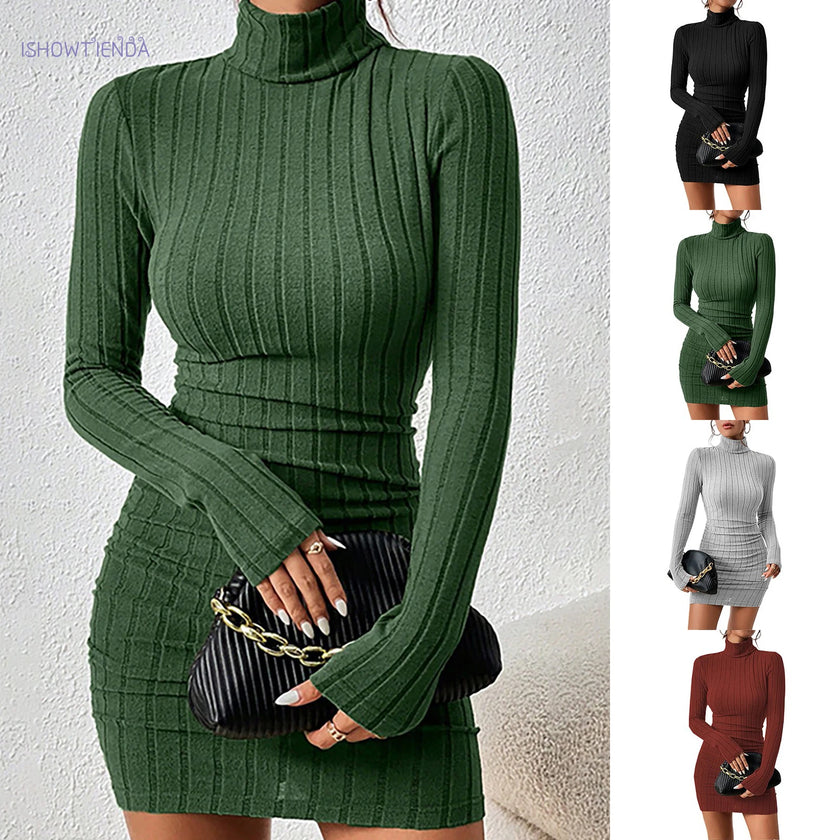 Turtleneck Knit Bodycon Dress II
