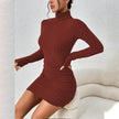 Turtleneck Knit Bodycon Dress II