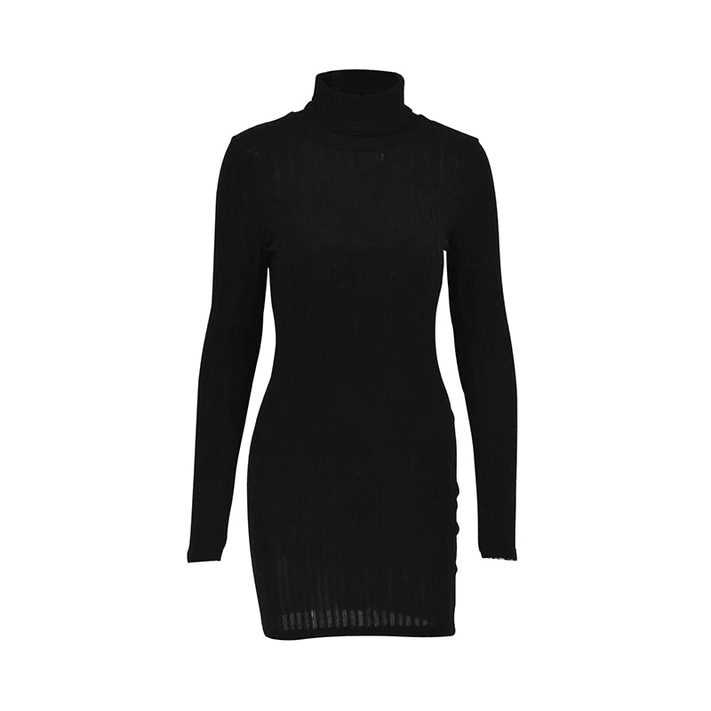 Turtleneck Knit Bodycon Dress