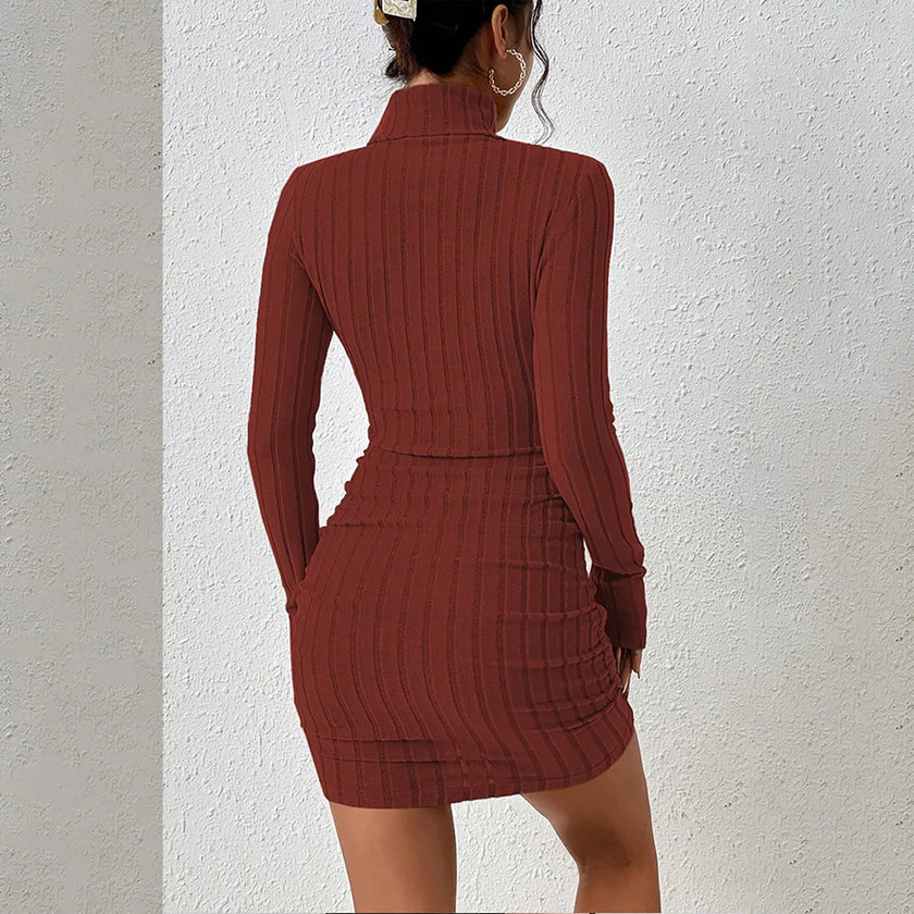 Turtleneck Knit Bodycon Dress II