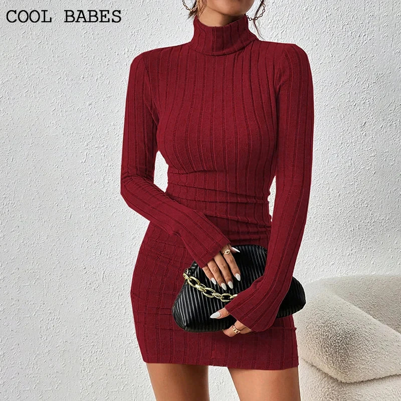 Turtleneck Knit Bodycon Dress