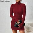 Turtleneck Knit Bodycon Dress