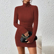 Turtleneck Knit Bodycon Dress II