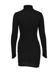 Turtleneck Knit Bodycon Dress