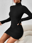 Turtleneck Ribbed Bodycon Mini Dress